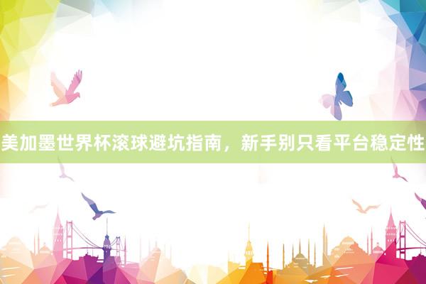 美加墨世界杯滚球避坑指南，新手别只看平台稳定性
